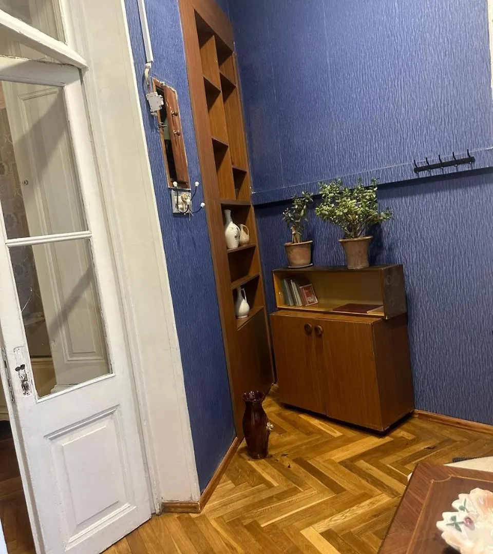 Cozy Apartment In The City Tbilisi Georgië
